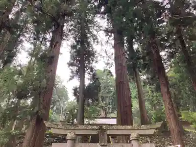 大宮温泉神社の鳥居