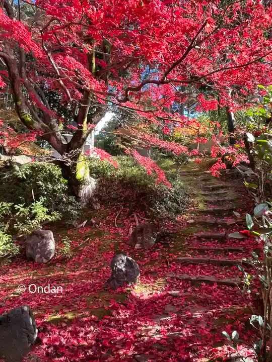 榮攝院(栄摂院)の自然