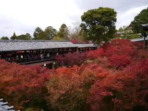 東福禅寺（東福寺）の景色