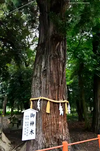 息栖神社(茨城県)