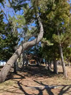 神山稲荷神社の{uncategorized: "未分類", other: "その他", undefined: "問題あり", building: "その他建物", grave: "お墓", sacred_gate: "鳥居", guardian: "狛犬", statue: "像", buddha: "仏像", history: "歴史", nature: "自然", garden: "庭園", animal: "動物", pagoda: "塔", temizu: "手水舎", mountain_gate: "山門・神門", sanctuary: "本殿・本堂", subordinate: "末社・摂社", art: "芸術", scenery: "景色", jizo: "地蔵", ema: "絵馬", goshuin: "御朱印", omikuji: "おみくじ", items: "授与品その他", amulet: "お守り", goshuincho: "御朱印帳", eats: "食事", festival: "お祭り", votive_dance: "神楽", shichigosan: "七五三参", wedding: "結婚式", experience: "体験その他", initially: "初詣", around: "周辺", anti_infection: "感染症対策"}