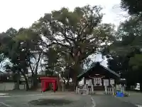 熊野三社のその他建物