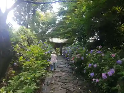 本光寺のその他建物