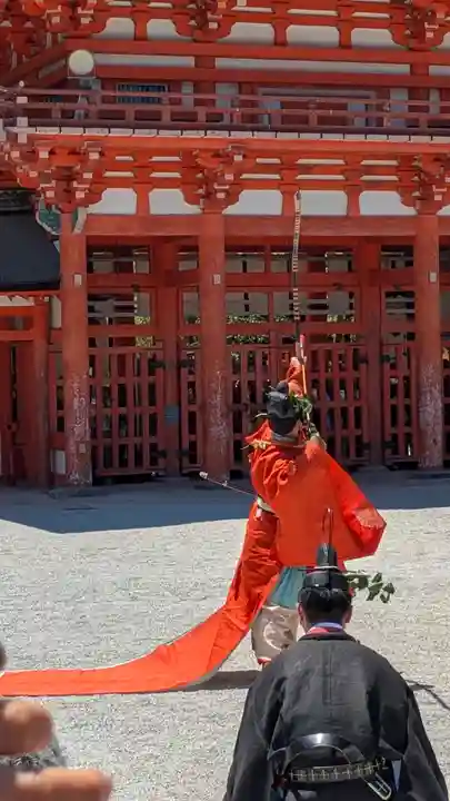 賀茂御祖神社(下鴨神社)(京都府)