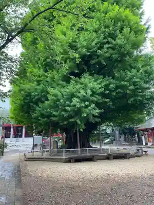 千葉寺(千葉県)