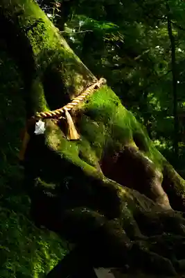 笠森寺(千葉県)