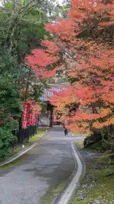 醍醐寺(京都府)
