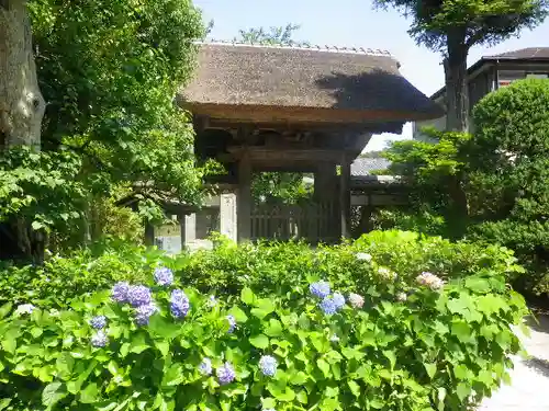 極楽寺（霊鷲山感應院極楽律寺）の山門