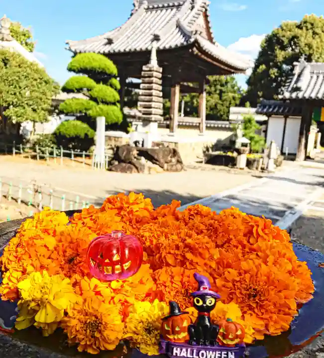 真言宗 善通寺派 薬王寺(香川県)