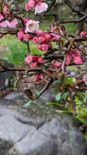 正法寺(京都府)