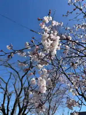 堤治神社の{uncategorized: "未分類", other: "その他", undefined: "問題あり", building: "その他建物", grave: "お墓", sacred_gate: "鳥居", guardian: "狛犬", statue: "像", buddha: "仏像", history: "歴史", nature: "自然", garden: "庭園", animal: "動物", pagoda: "塔", temizu: "手水舎", mountain_gate: "山門・神門", sanctuary: "本殿・本堂", subordinate: "末社・摂社", art: "芸術", scenery: "景色", jizo: "地蔵", ema: "絵馬", goshuin: "御朱印", omikuji: "おみくじ", items: "授与品その他", amulet: "お守り", goshuincho: "御朱印帳", eats: "食事", festival: "お祭り", votive_dance: "神楽", shichigosan: "七五三参", wedding: "結婚式", experience: "体験その他", initially: "初詣", around: "周辺", anti_infection: "感染症対策"}