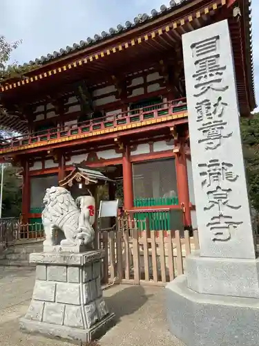 瀧泉寺（目黒不動尊）の狛犬