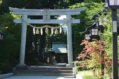 星川杉山神社(神奈川県)