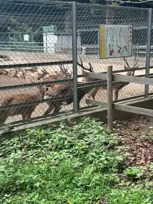 鹿島神宮(茨城県)