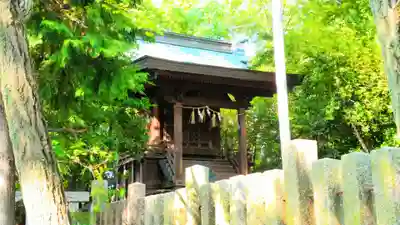 八幡社(白山社八幡社)の本殿・本堂