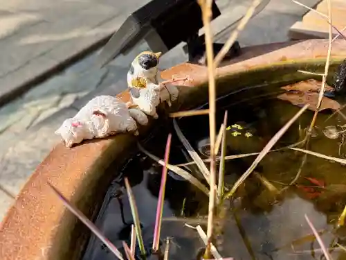 王子神社の{uncategorized: "未分類", other: "その他", undefined: "問題あり", building: "その他建物", grave: "お墓", sacred_gate: "鳥居", guardian: "狛犬", statue: "像", buddha: "仏像", history: "歴史", nature: "自然", garden: "庭園", animal: "動物", pagoda: "塔", temizu: "手水舎", mountain_gate: "山門・神門", sanctuary: "本殿・本堂", subordinate: "末社・摂社", art: "芸術", scenery: "景色", jizo: "地蔵", ema: "絵馬", goshuin: "御朱印", omikuji: "おみくじ", items: "授与品その他", amulet: "お守り", goshuincho: "御朱印帳", eats: "食事", festival: "お祭り", votive_dance: "神楽", shichigosan: "七五三参", wedding: "結婚式", experience: "体験その他", initially: "初詣", around: "周辺", anti_infection: "感染症対策"}