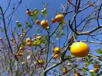 白山神社(福井県)