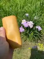 知立神社の自然