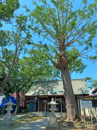 蘇我比咩神社の本殿