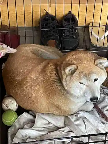 笠䅣稲荷神社(神奈川県)