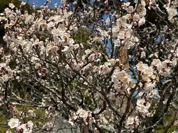 建長寺(神奈川県)
