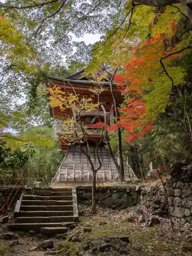 鳳来寺(愛知県)