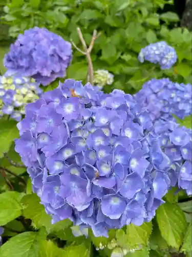 廣渡寺(埼玉県)