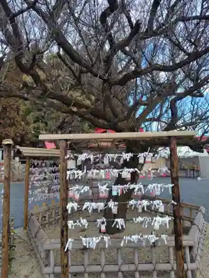 鼬幣稲荷神社(岩手県)