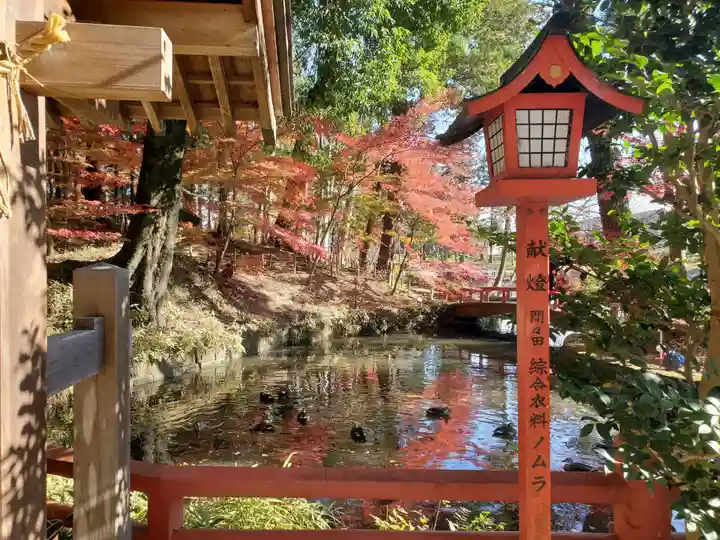 間々田八幡宮(栃木県)
