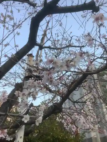 素盞男神社の自然