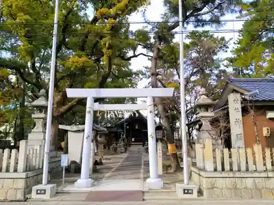 神明社(稲葉地神明社)の鳥居