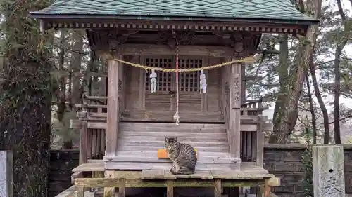 五色濱神社の動物