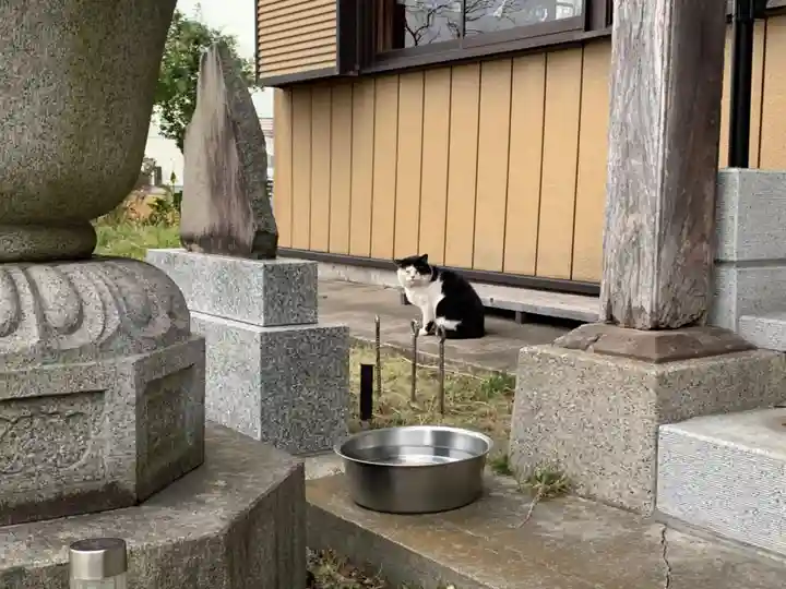 観音寺(千葉県)