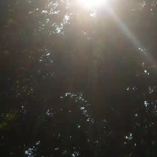 平塚神社の自然