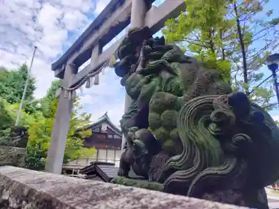 東神奈川熊野神社(神奈川県)