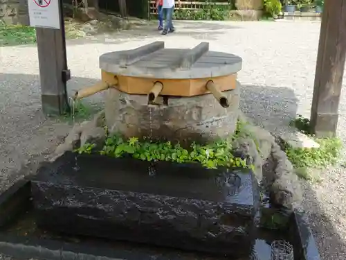 深大寺の手水