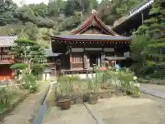 岡寺（龍蓋寺）の本殿