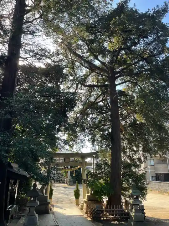 白髭神社の{uncategorized: "未分類", other: "その他", undefined: "問題あり", building: "その他建物", grave: "お墓", sacred_gate: "鳥居", guardian: "狛犬", statue: "像", buddha: "仏像", history: "歴史", nature: "自然", garden: "庭園", animal: "動物", pagoda: "塔", temizu: "手水舎", mountain_gate: "山門・神門", sanctuary: "本殿・本堂", subordinate: "末社・摂社", art: "芸術", scenery: "景色", jizo: "地蔵", ema: "絵馬", goshuin: "御朱印", omikuji: "おみくじ", items: "授与品その他", amulet: "お守り", goshuincho: "御朱印帳", eats: "食事", festival: "お祭り", votive_dance: "神楽", shichigosan: "七五三参", wedding: "結婚式", experience: "体験その他", initially: "初詣", around: "周辺", anti_infection: "感染症対策"}