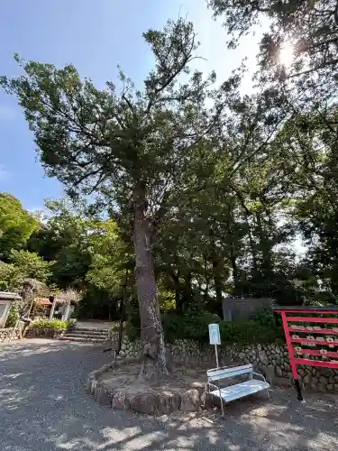 三熊野神社(静岡県)