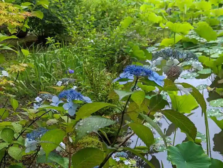 法金剛院(京都府)