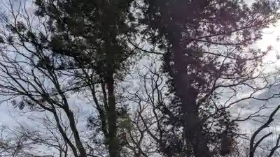 山の神古墳の自然