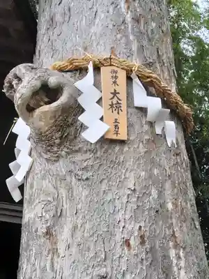 相模国総社六所神社(神奈川県)