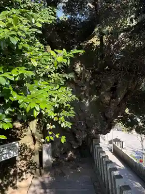 楽法寺(雨引観音)(茨城県)