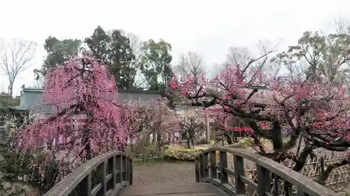 北野天満宮の庭園