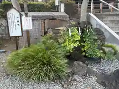 瀧宮神社(埼玉県)