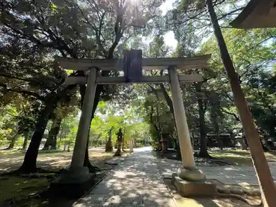 赤坂氷川神社の鳥居