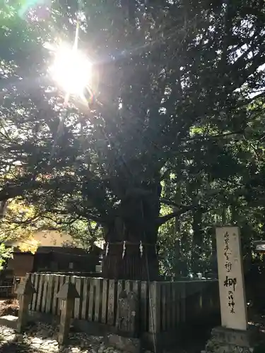 熊野速玉大社の自然