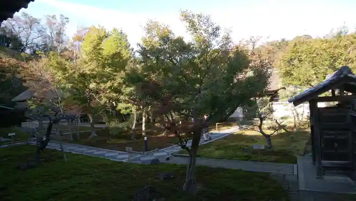 長壽寺(長寿寺)の庭園