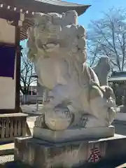 結城諏訪神社の狛犬