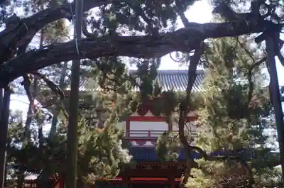大徳寺(京都府)